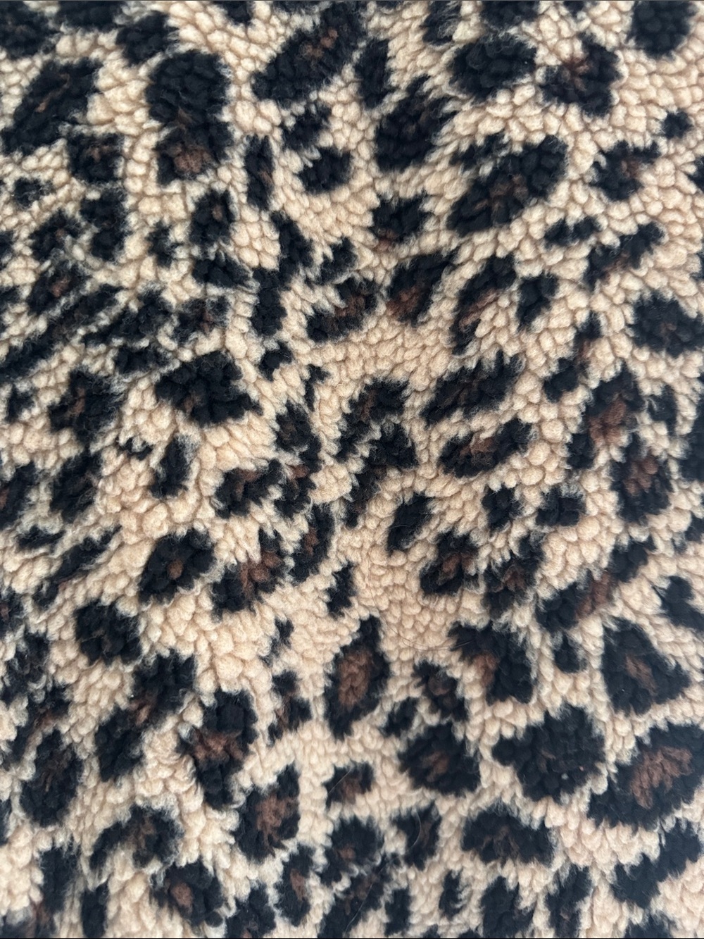 Brunette the Label -Leopard Print Fall Jacket in L/XL - Picture 4 of 5